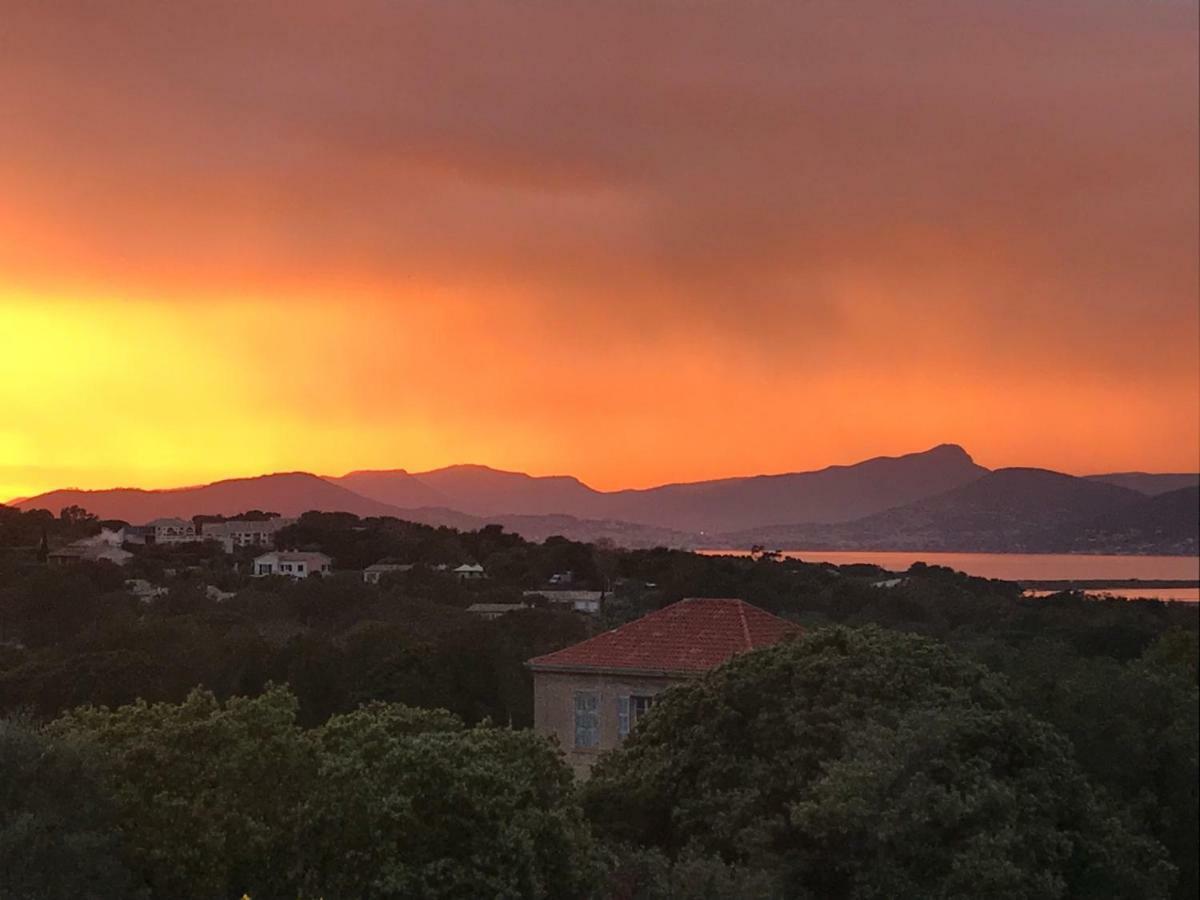 Rez De Jardin Villa Presqu'Ile De Giens Hyeres Bagian luar foto